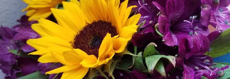august 2019 sunflower and purple flowers
